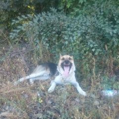 ����: ������� ������  �������� ������ ������ �� ����� � �. �����