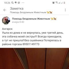 Подробнее об объявлении «Ангарск Пропала собака» Фото: пропала собака  «Ангарск Пропала собака» в г. Ангарск