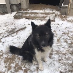 ����: ������� ������  �������� ������ ������ ����������� �� ��� ���...� � �. ������