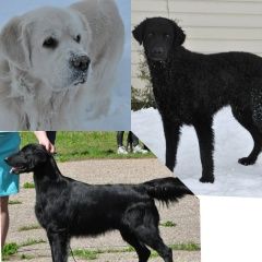 ����: ������� ������ ������������� �������� �������� ������ ������ ����������� � �. �����������