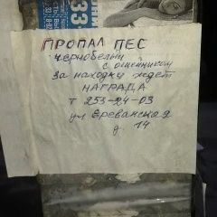 Подробнее об объявлении «Ростов-на-Дону Пропала собака кобель» Фото: пропала собака  «Ростов-на-Дону Пропала собака кобель» в г. Ростов-на-Дону