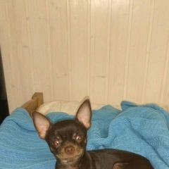 ����: ������� ������ ���-������ �������� ������� ������ ������� � �. �������