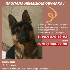 Подробнее об объявлении «Оренбург Пропала собака кобель» Фото: пропала собака Немецкая овчарка «Оренбург Пропала собака кобель» в г. Оренбург