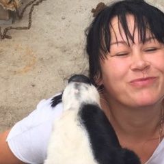 Подробнее об объявлении «Пропала собака  Чебоксары» Фото: пропала собака  «Пропала собака  Чебоксары» в г. Чебоксары