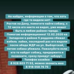 Подробнее об объявлении «Ростов-на-Дону Пропала собака кобель» Фото: пропала собака Западно-сибирская лайка «Ростов-на-Дону Пропала собака кобель» в г. Ростов-на-Дону