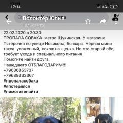 Подробнее об объявлении «Пропала собака кобель вознаграждение Москва» Фото: пропала собака Такса «Пропала собака кобель вознаграждение Москва» в г. Москва