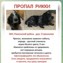 Подробнее об объявлении «Бронницы Пропала собака кобель поиски продолжаются помогите рику вер» Фото: пропала собака  «Бронницы Пропала собака кобель поиски...» в г. Бронницы