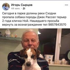 Подробнее об объявлении «Пропала собака кобель.. в районе парка долины реки сх Красногорск» Фото: пропала собака Джек рассел терьер «Пропала собака кобель.. в районе парка долины...» в г. Красногорск