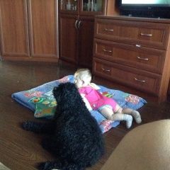 Подробнее об объявлении «Пропала собака кобель. выборгский район. чёрный Санкт-Петербург» Фото: пропала собака Американский кокер-спаниель «Пропала собака кобель. выборгский район. чёрный...» в г. Санкт-Петербург