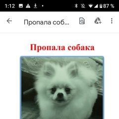 Подробнее об объявлении «Пропала собака Москва» Фото: пропала собака Померанский шпиц «Пропала собака Москва» в г. Москва