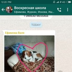 Подробнее об объявлении «Мытищи Пропала собака, ул.юбилейная» Фото: пропала собака Гончая «Мытищи Пропала собака, ул.юбилейная» в г. Мытищи