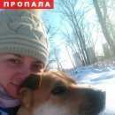 Подробнее об объявлении «Красноярск Пропала собака» Фото: пропала собака  «Красноярск Пропала собака» в г. Красноярск