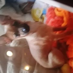 ����: ������� ������ ���-������ ���������� ������� ������ �������� ����� � �. ���������