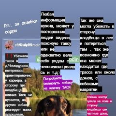Подробнее об объявлении «Пропала собака тася Воскресенск» Фото: пропала собака Такса «Пропала собака тася Воскресенск» в г. Воскресенск