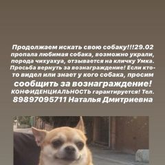 Подробнее об объявлении «Ростов-на-Дону Пропала собака» Фото: пропала собака Чихуахуа «Ростов-на-Дону Пропала собака» в г. Ростов-на-Дону