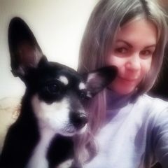 Подробнее об объявлении «Волгоград Пропала собака кобель в тракторозаводском район» Фото: пропала собака  «Волгоград Пропала собака кобель в...» в г. Волгоград