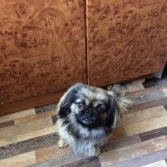 ����: ������� ������ ������� ������� ������� ������ ������ ������� � �. ������