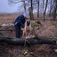 Подробнее об объявлении «Пропала собака кобель Москва» Фото: пропала собака  «Пропала собака кобель Москва» в г. Москва