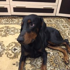 ����: ������� ������ �������� ����������� ������� ������ ������� � �. ����������