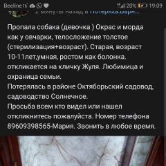 Подробнее об объявлении «Барнаул Пропала собака 9 мая» Фото: пропала собака  «Барнаул Пропала собака 9 мая» в г. Барнаул