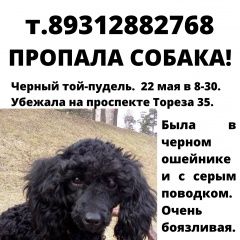 Подробнее об объявлении «Пропала собака Санкт-Петербург» Фото: пропала собака Пудель «Пропала собака Санкт-Петербург» в г. Санкт-Петербург