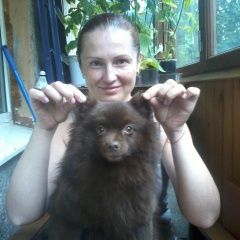 Подробнее об объявлении «Пропала собака малый немецкий шпиц Санкт-Петербург» Фото: пропала собака Немецкий шпиц «Пропала собака малый немецкий шпиц Санкт-Петербург» в г. Санкт-Петербург