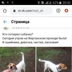 Подробнее об объявлении «Люберцы Пропала собака» Фото: пропала собака Джек рассел терьер «Люберцы Пропала собака» в г. Люберцы