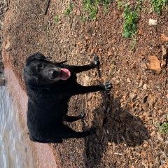 ����: ������� ������ �������� �������� ������������� ������� ������ ������� � �. ������������