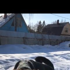 ����: ������� ������  �������� ������ ������ ������� ����� ����������� � �. �����������