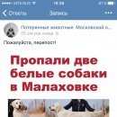 Подробнее об объявлении «Малаховка Пропала собака» Фото: пропала собака Голден ретривер «Малаховка Пропала собака» в г. Малаховка