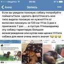 Подробнее об объявлении «Санкт-Петербург Пропала собака кобель» Фото: пропала собака Такса «Санкт-Петербург Пропала собака кобель» в г. Санкт-Петербург