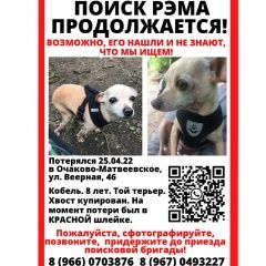 Подробнее об объявлении «Москва Пропала собака розыск» Фото: пропала собака  «Москва Пропала собака розыск» в г. Москва