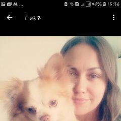 Подробнее об объявлении «Руза Пропала собака кобель чихуахуа кобель» Фото: пропала собака Чихуахуа «Руза Пропала собака кобель чихуахуа кобель» в г. Руза