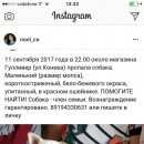 Подробнее об объявлении «Белгород Пропала собака кобель» Фото: пропала собака Чихуахуа «Белгород Пропала собака кобель» в г. Белгород