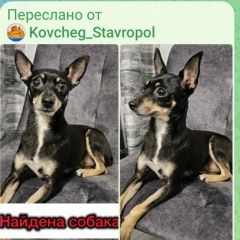 ����: ������� ������ ���-������ ����������� ������� ������. 3. 12. 25�. �� 3-�...� � �. ����������