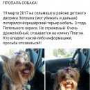 Подробнее об объявлении «Пропала собака кобель Гомель» Фото: пропала собака Йоркширский терьер «Пропала собака кобель Гомель» в г. Гомель