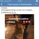Подробнее об объявлении «Пропала собака Москва» Фото: пропала собака  «Пропала собака Москва» в г. Москва