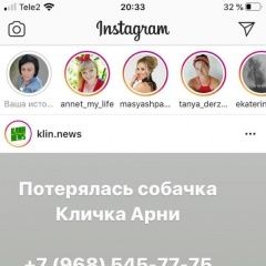 Подробнее об объявлении «Пропала собака кобель парода русский той Клин» Фото: пропала собака Русский той-терьер «Пропала собака кобель парода русский той Клин» в г. Клин