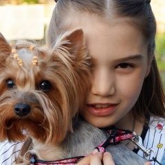 Подробнее об объявлении «Пропала собака Белоярский (Свердловская обл.)» Фото: пропала собака Йоркширский терьер «Пропала собака Белоярский (Свердловская обл.)» в г. Белоярский (Свердловская обл.)