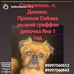 Подробнее об объявлении «Пропала собака Дивное (Ставропольский край)» Фото: пропала собака Брюссельский гриффон «Пропала собака Дивное (Ставропольский край)» в г. Дивное (Ставропольский край)