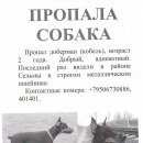 Подробнее об объявлении «Калининград (Кенигсберг) Пропала собака кобель» Фото: пропала собака Доберман «Калининград (Кенигсберг) Пропала собака кобель» в г. Калининград (Кенигсберг)