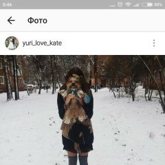 Подробнее об объявлении «Зарайск Пропала собака кобель» Фото: пропала собака Йоркширский терьер «Зарайск Пропала собака кобель» в г. Зарайск