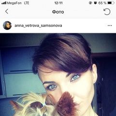 Подробнее об объявлении «Челябинск Пропала собака» Фото: пропала собака Йоркширский терьер «Челябинск Пропала собака» в г. Челябинск
