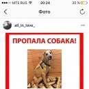 Подробнее об объявлении «Пропала собака Москва» Фото: пропала собака  «Пропала собака Москва» в г. Москва