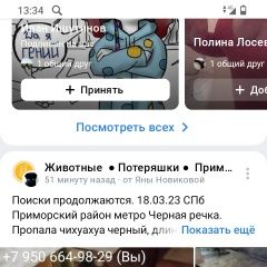 Подробнее об объявлении «Пропала собака кобель длинношёрстный чихуахуа Санкт-Петербург» Фото: пропала собака Чихуахуа «Пропала собака кобель длинношёрстный чихуахуа...» в г. Санкт-Петербург