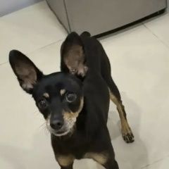 ����: ������� ������  ���������� ������� ������ ������ ��� ������ ����� � �. ���������