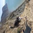 Подробнее об объявлении «Анапа Пропала собака кобель хаска» Фото: пропала собака Сибирская хаски «Анапа Пропала собака кобель хаска» в г. Анапа