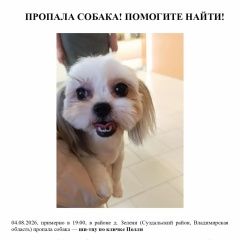 ����: ������� ������ ��-��� ��������� ������� ������ �������� ����� � �. ��������