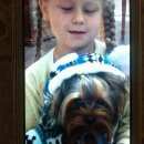 Подробнее об объявлении «Орск Пропала собака кобель» Фото: пропала собака  «Орск Пропала собака кобель» в г. Орск