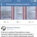 Подробнее об объявлении «Адлер Пропала собака» Фото: пропала собака Сибирская хаски «Адлер Пропала собака» в г. Адлер